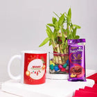 Merry Christmas Bamboo Plant Combo customer review image
