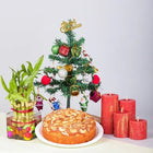 Merry Christmas Cake Combo customer review image