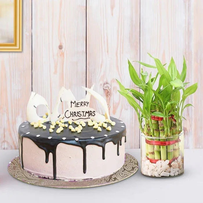 Christmas cake with white candles and a bamboo plant on a wooden surface