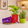 Rakhi with Plants Online