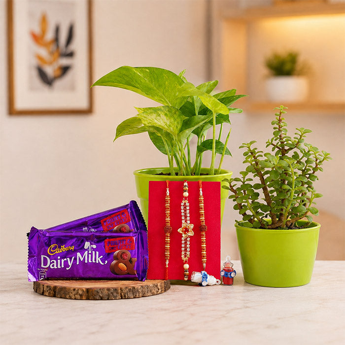 Set Of 3 Rakhi With Plants And Chocolates