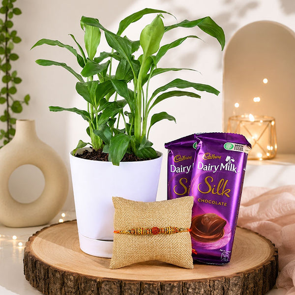 Silky Peace Lily Rakhi Combo