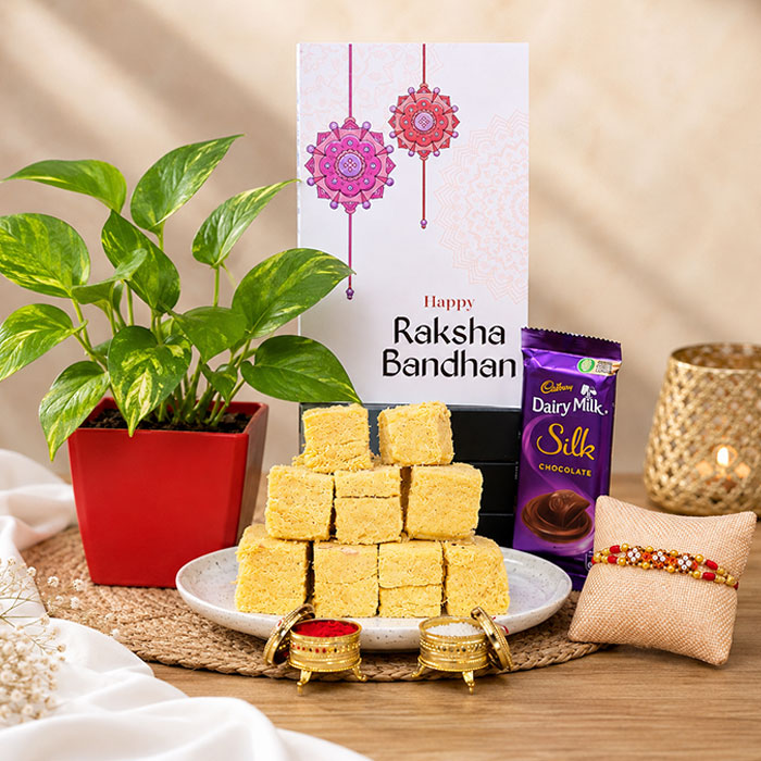 Soan Papdi N Yellow Shad Potted Plat Rakhi Combo