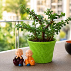 Spread Luck And Happiness With Jade Plant And Buddha customer review image
