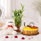 Butterscotch Cake with 2 Layer Lucky Bamboo & White Teddy customer review image