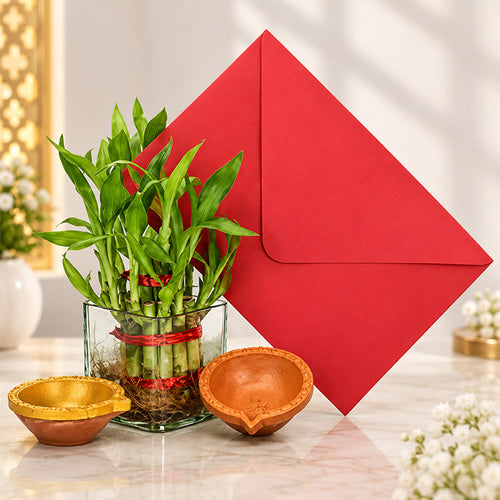 Two Layer Lucky Bamboo Plant with Designer Diyas & Diwali Card