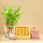Amazing Diwali Combo customer review image