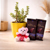 Send Gifts to Jaipur