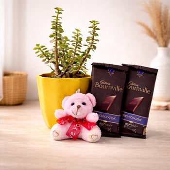 Send Gifts to Ludhiana