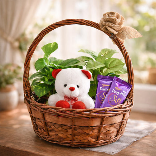 Wicker basket with a teddy bear, plant, and Cadbury Dairy Milk Silks on a wooden surface.