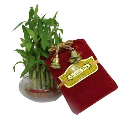 Lucky bamboo plant in glass vase with red gift pouch labeled Green Tea Rose