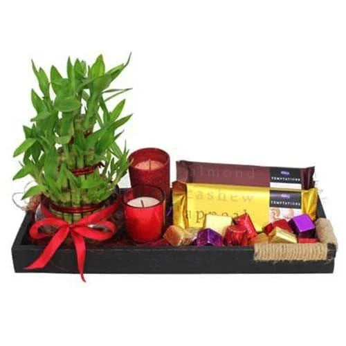 Gift tray with lucky bamboo plant, candles, chocolates, and assorted sweets.