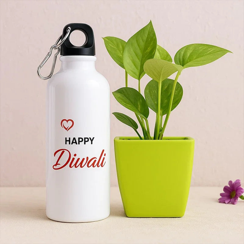 Diwali Gift Combo – Printed Sipper Bottle & Money Plant in Pot
