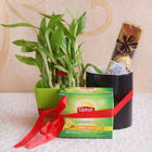 Healthful Gift For Diwali customer review image