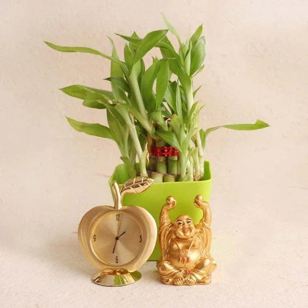 A Luck N Wisdom Pack