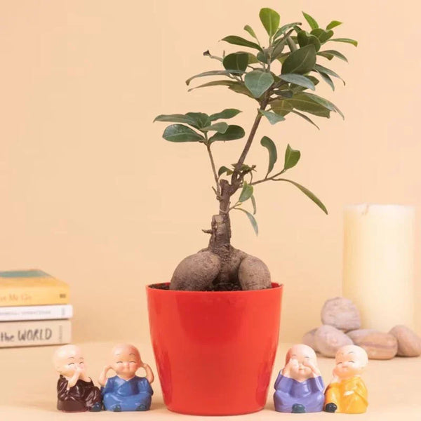 Potted plant in a red pot with small figurines on a beige background