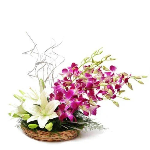 Purple Orchid & White Asiatic Lily Basket Arrangement - Orchids Gift for Men