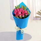 17 Pink Rose Bouquet in Blue Paper Packing customer review image