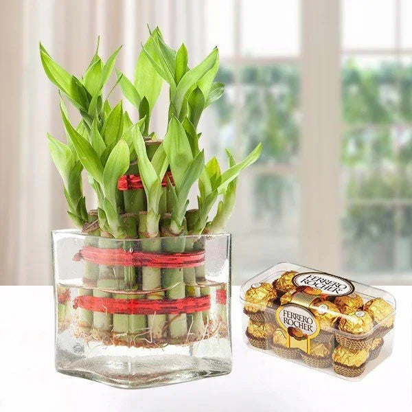 Bringing Good Luck Combo