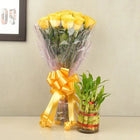 12 Yellow Roses with 2 Layer Lucky Bamboo customer review image