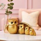 Golden Owl Family Decorative Showpiece for Home & Office customer review image