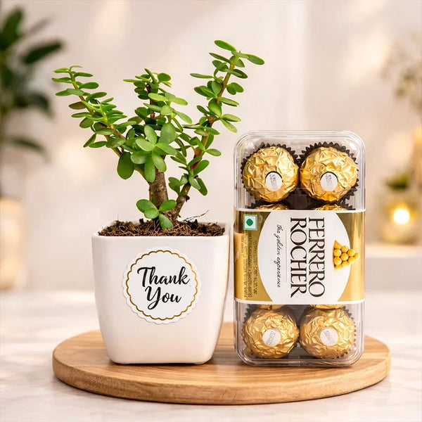 Potted plant with 'Thank You' label and Ferrero Rocher chocolates on a wooden coaster.