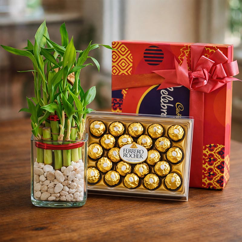 Lucky Bamboo Chocolate Hamper