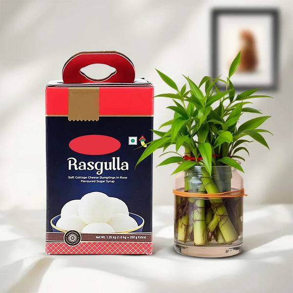 Lucky bamboo plant in glass vase beside rasgulla sweets box for gifting