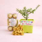 Lucky Jade Plant N Laughing Buddha Combo customer review image