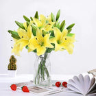 Luminous Lilies customer review image