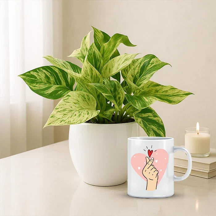 Marble Money Plant with love mug 