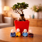 Marvellous Bonsai Plant customer review image