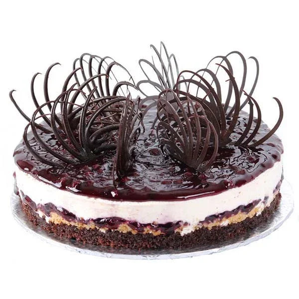 Blueberry cheesecake with chocolate garnishes and layered creamy filling