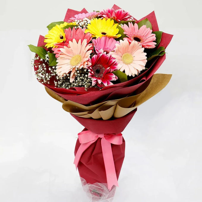 Gerbera Bouquet with 12 Mixed Colour Flowers - Orchids Gift for Men