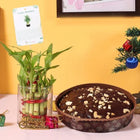 Lucky Christmas Combo customer review image