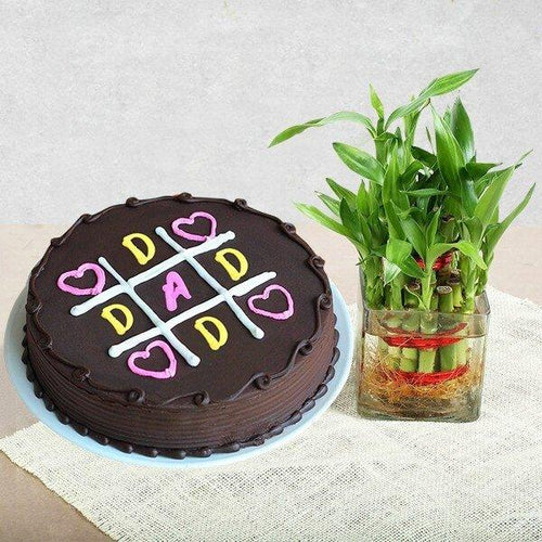 Chocolate cake with 'DAD' decoration next to a bamboo plant on a light surface.