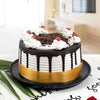 Bestseller Cake Online