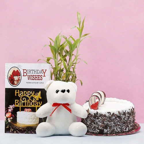 White teddy bear, birthday cake, and plant with a 'Happy Birthday' card 