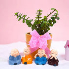 Occasions With Jade Plant And Cute Monks customer review image