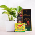 Money Plant with Snacks Hamper customer review image