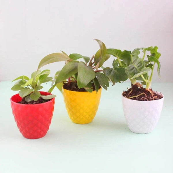 Mini 3 Air Purifiers