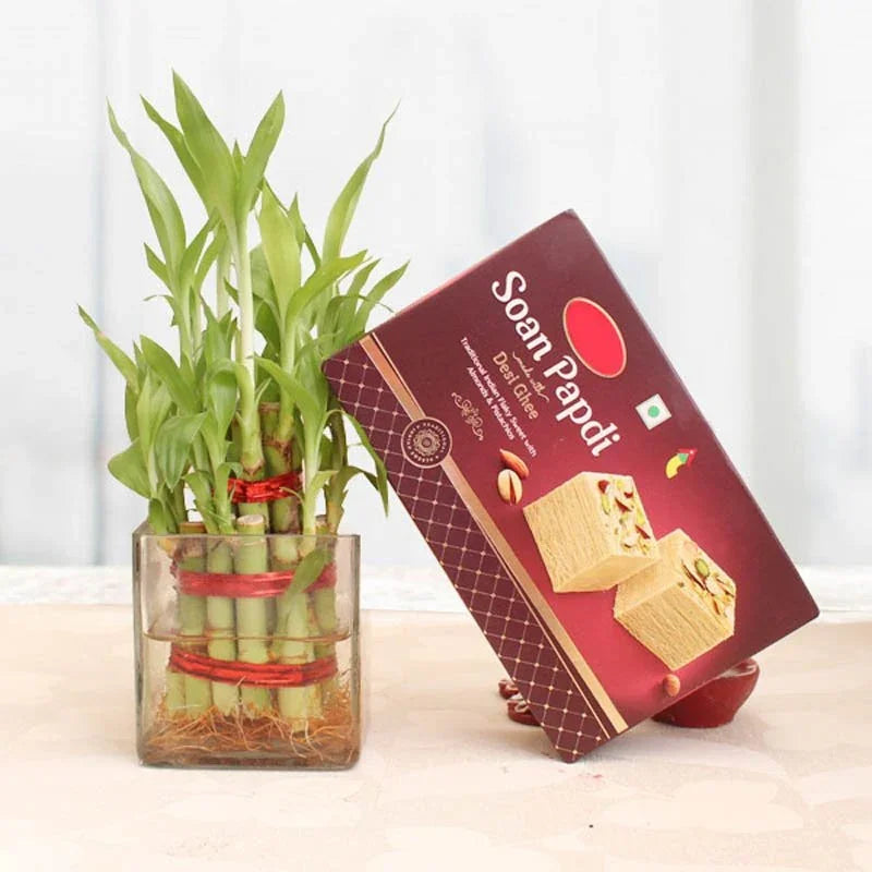 Bamboo plant in a glass vase next to a box of Soan Papdi on a white background