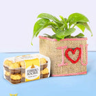 Cute Money Plant With Ferrero Rocher customer review image
