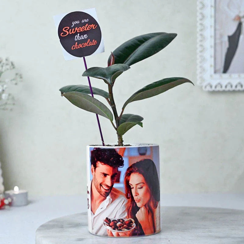 Plant in a pot with a personalized photo design on a light background