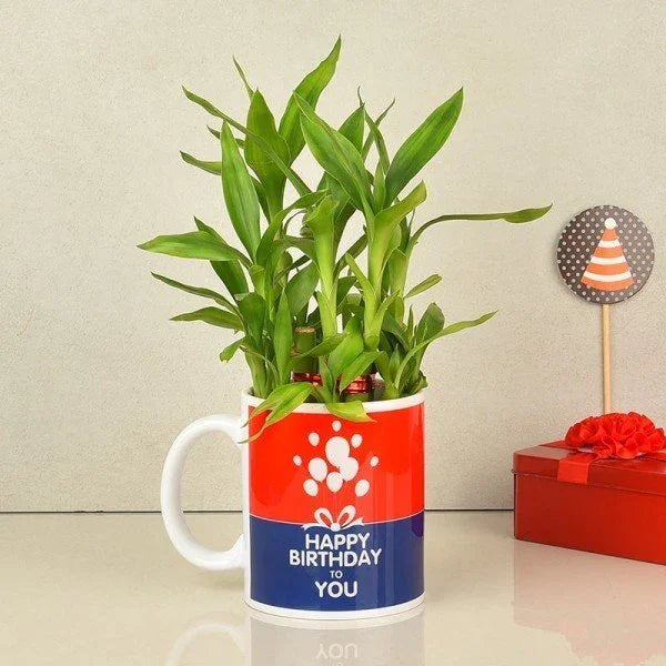 2 Layer Lucky Bamboo with Happy Birthday Mug | OyeGifts