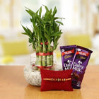 Chocolate and Luck customer review image