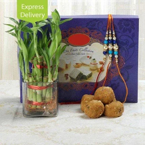 Bond Of Rakhi Sacredness