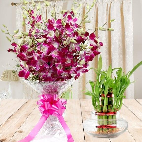 Purple Orchid Bouquet with Two Layer Lucky Bamboo Plant