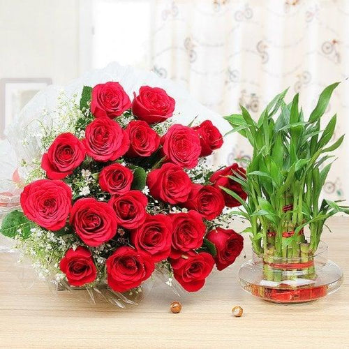 Bouquet of fresh red roses with green lucky bamboo plant in glass vase 