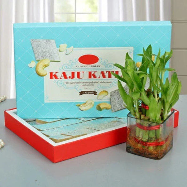 Box of Kaju Katli sweets with a lucky bamboo plant in a glass pot, ideal gift combo.